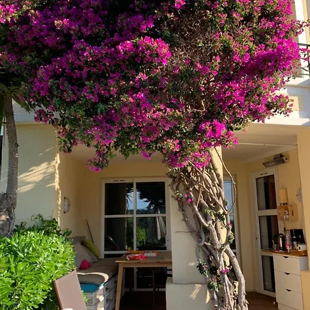 Coup De Coeur ,Parc Aquatique Piscine Chauffee,Appartement Pour 4 Personnes En Rez De Jardin Saint-Raphael (Var)
